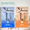 72 Inch Ceiling Fans with Lights and Remote